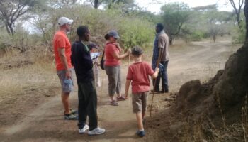 Why Tanzania Is the Best Choice for a Family Safari?