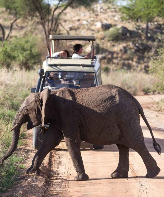 6 Days Safari Holidays In Tanzania