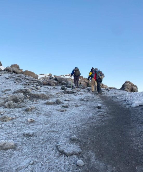 7 Days Hiking Kilimanjaro's Lemosho Route