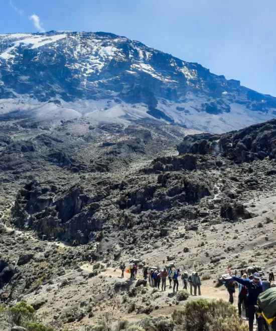 6 Days Hiking Kilimanjaro's Rongai Route